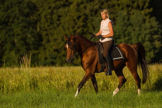 CP2R6768_bearbeitet-1